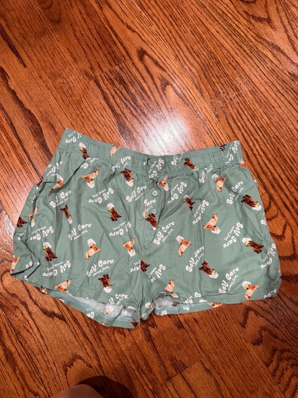 PINK Victoria's Secret Green 'Self Care' Dog Print Lounge Shorts